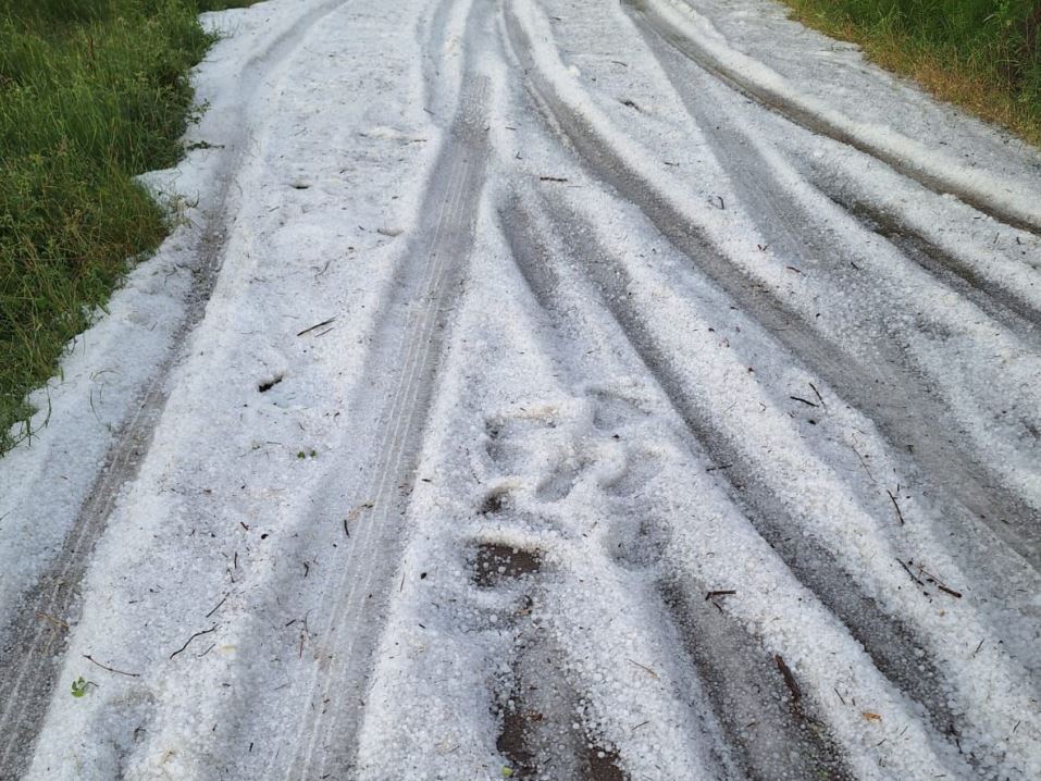 E pazakontë! Shqipëria po ‘digjet’ nga vapa, Erseka zbardhet nga breshëri.